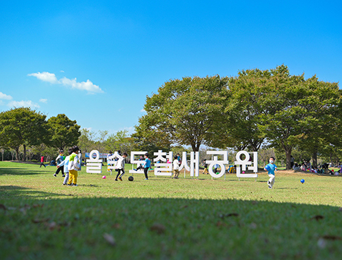 을숙도(낙동강하구에코센터·현대미술관)